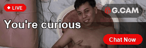G.CAM 300×100 You're curious