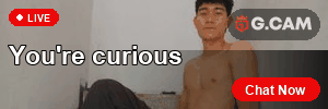 G.CAM 300×100 You're curious