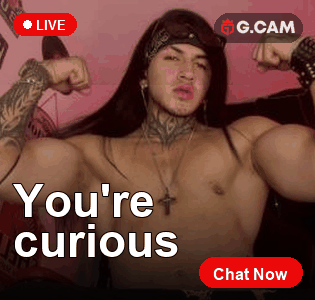 G.CAM 315×300 You're curious